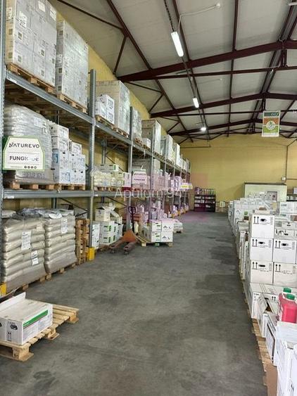 Hale industriale cu parcari multiple Bragadiru Sos Alexandriei stradal - 3