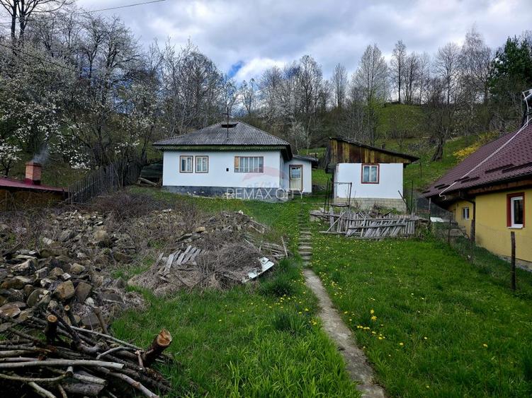 Teren 711mp Hangu / DN GROZAVESTI - 13