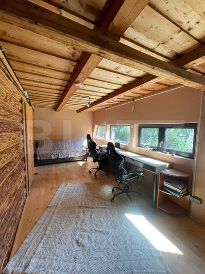 Cabana cu parau si brazi maturi, 1400mp, Valea Fericirii