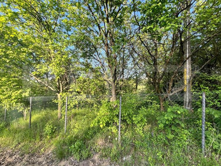 Teren intravilan ,cu vegetatie, 2700 mp, zona Siret
