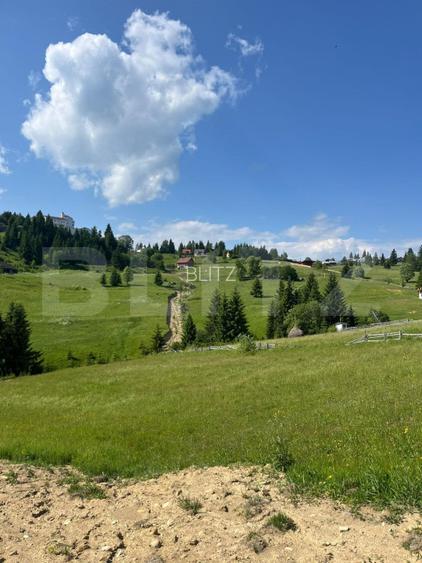 Oportunitate de Investiție Unică – Teren 1.800 mp, la 1 km de Hotel Dracula - 3