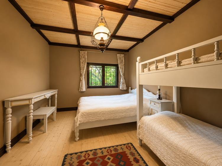 Mountain Chalet | Private Resort | Investment - Nistoresti