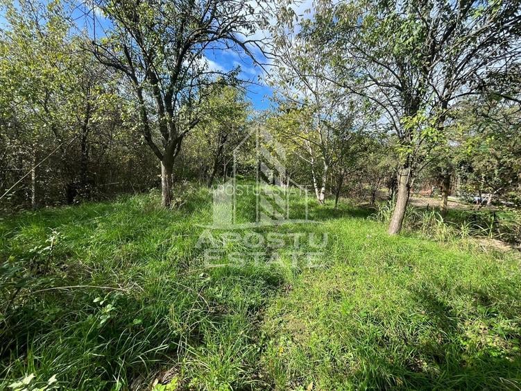 Casa cu 4 camere si teren de 2698 mp in zona Freidorf - 11