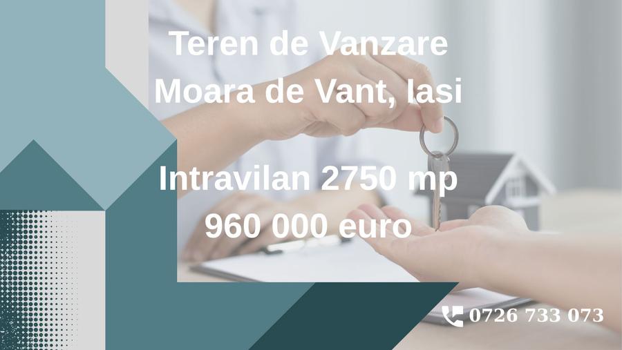 Teren intravilan de vanzare – Moara de Vant, Iași , 2750mp