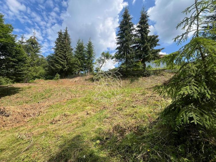 Teren intravilan 1074 mp cu utilitati-ideal pensiune, cabane-Colibita