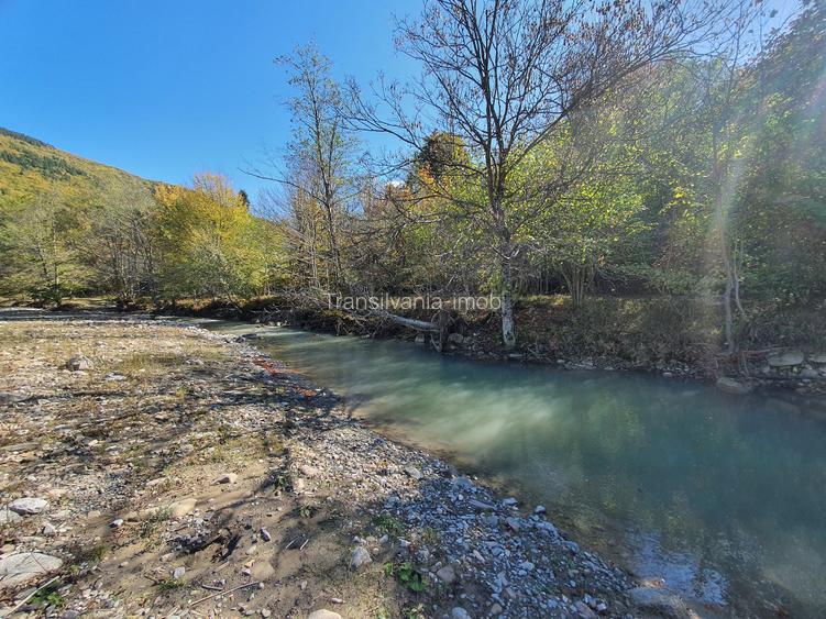Teren 18.800 mp Săcele – Brădet | Acces DN1A | Deschidere 250 ml