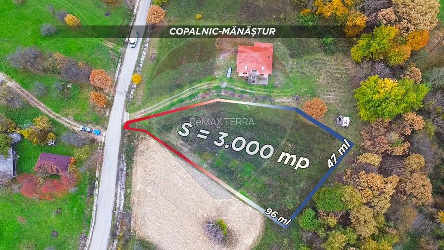 Teren intravilan de vânzare – Copalnic Mănăștur – 3.000 mp - 3