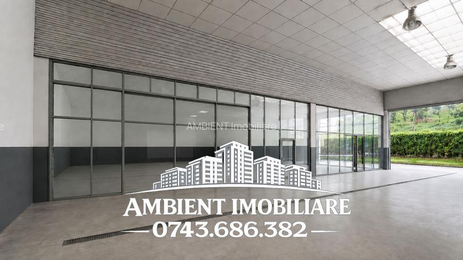 Spatiu comercial - HALA producție/depozitare, VASLUI zona MOVAS; - 7