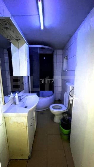 Spațiu comercial de închiriat, 195 mp utili, 500 mp teren, zona Central - 11