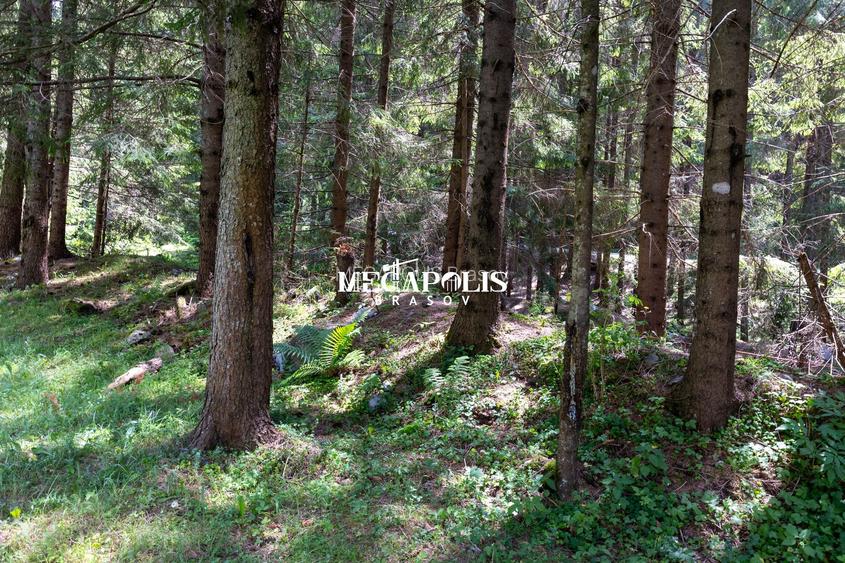 Teren intravilan | Moieciu de Sus | 12307 | PUZ - 16