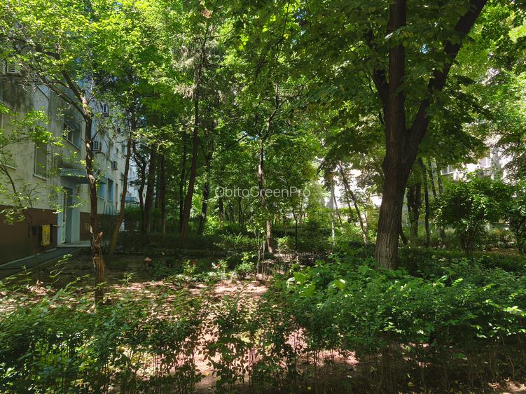 Valea Argeșului 4 camere- Aleea Callatis - 19