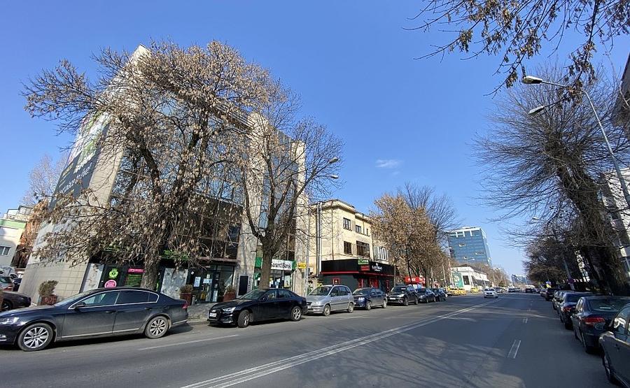 CALEA FLOREASCA 141-143, Dorobanti - comision 0%, reprezentam proprietarul!