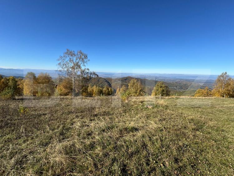 Teren extravilan 6.360 mp in Târsa