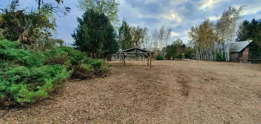 Vilă cu deschidere la Lacul Snagov  | Piscină - 4