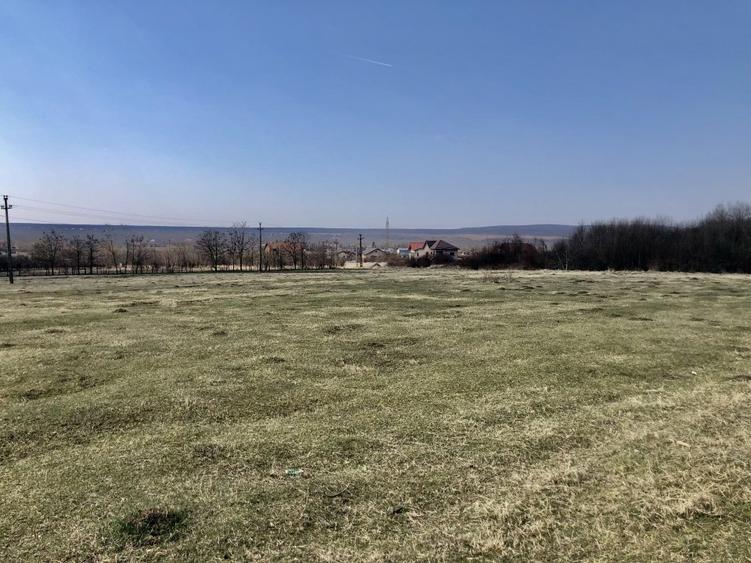 Vanzare teren intravilan- livezi