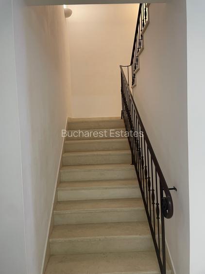 Iancu Nicolae 6 bedrooms villa - 13