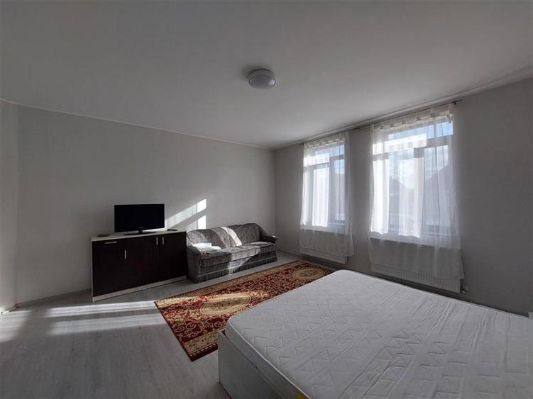 Casa mare, cu teren generos, pentru locuit sau afacere, in Santana