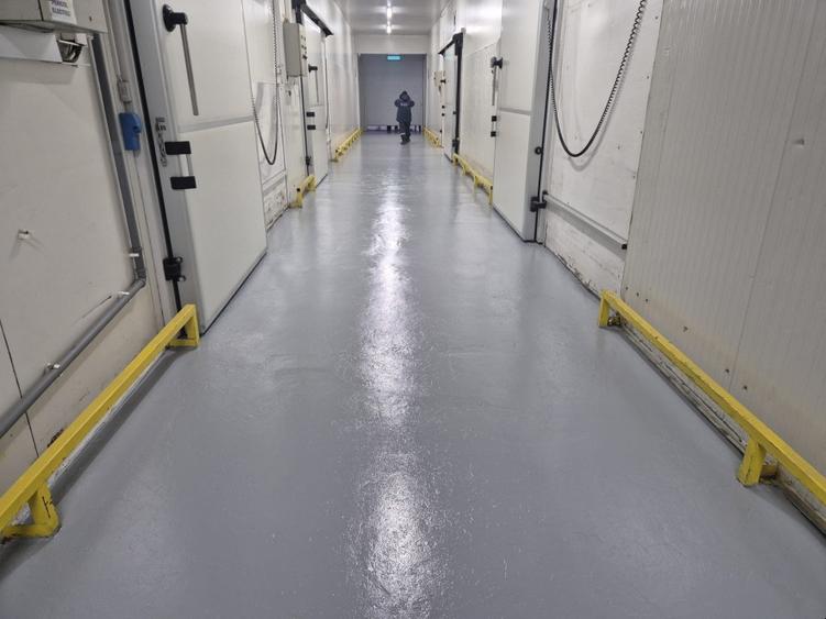 Depozit frig congelate Constanta Ovidiu