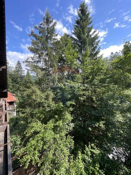 Vilă la munte / Proprietate investițională – Predeal - 39