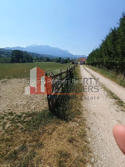 Teren intravilan 1.495 mp | Bran- Tohanu Nou | Vedere Bucegi | Deschidere 45 m - 5