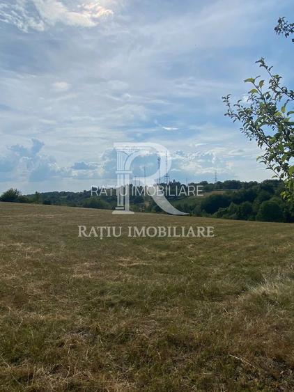 Teren Intravilan | 17.500 mp | Șinteu | Bihor - 2
