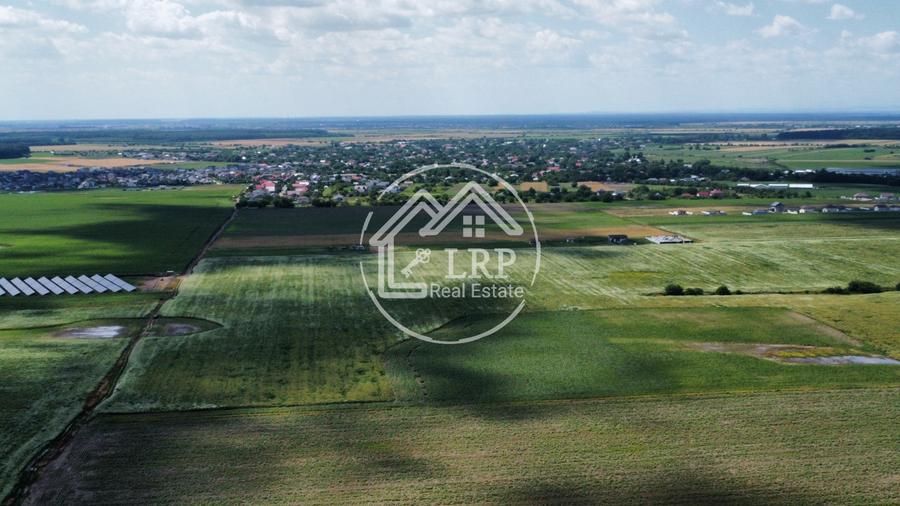 Teren Intravilan 9.918 mp Creața Dascălu, T66– Parcelabil