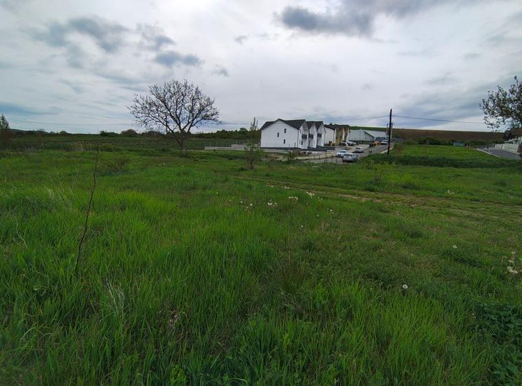 Teren constructie P+M, Sura Mare- Hamba, 717mp, utilitati