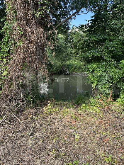 Teren de vanzare – 942 m2 | Zăvoaie,  Bistrita | Acces direct la raul Bistrita - 6