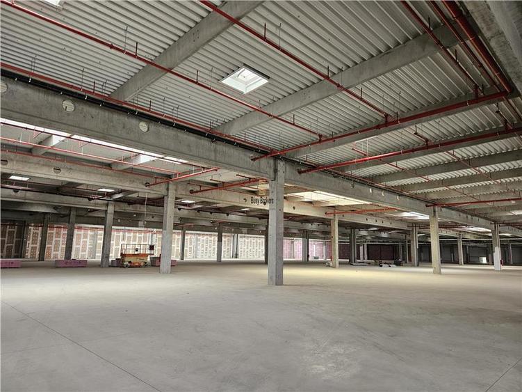 Spatiu Industrial - 7000 mp - Logistica - Productie - Depozitare - Distributie