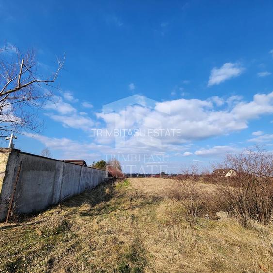 Teren cu deschidere lac Snagov Vladiceasca - 9