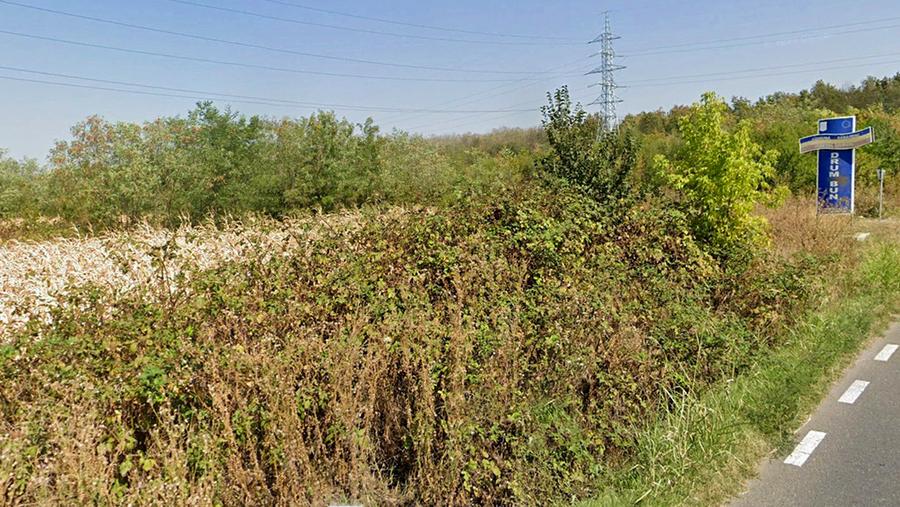 Teren intravilan 1.936 mp, lângă pădure – Săbăreni, Giurgiu, langa DN7