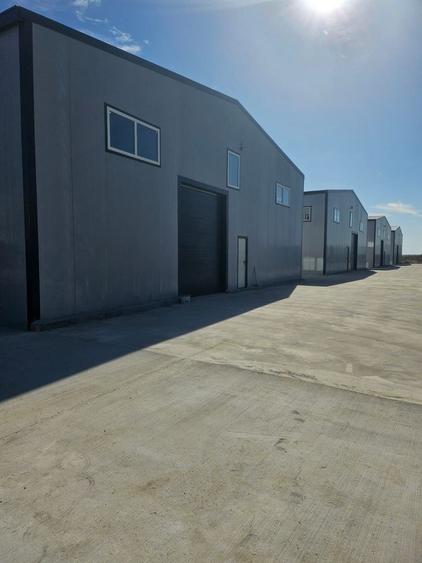 Hale noi 2026 AFUMATI ( Moara Domneasca ) 2300 Euro