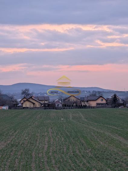 TEREN INTRAVILAN IN LILIECI, BACAU