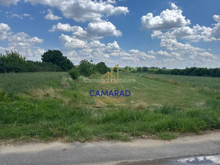 Teren 4694 mp Buftea | Potențial de extindere | intravilan - Parcul dintre Flori - 7