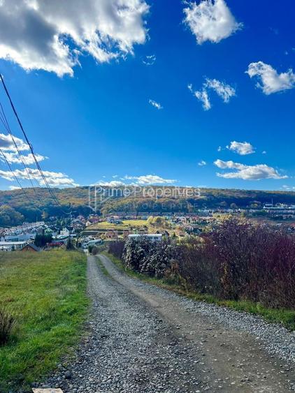 Teren cu potențial multiplu de dezvoltare – Corunca, E60, 10.000 mp - 3