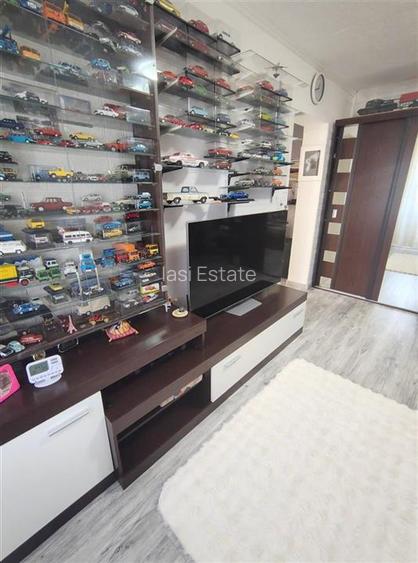 Zona Tatarasi - Tudor Center Apartament 2 camere - 24