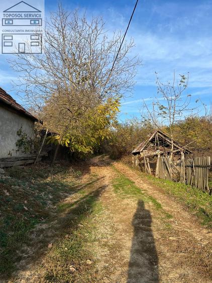 Casa de vanzare in localitatea Burzuc