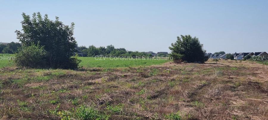 Teren intravilan 2.000 mp, două loturi construibile – Darvari, Ciorogârla - 11