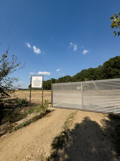 Lot de teren, Izvorani, Snagov! Deschidere la padurea SNAGOV- super promotie - 5