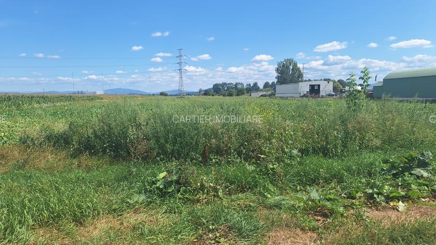 Vand teren 1.5 ha intravilan industrial Halchiu - 7