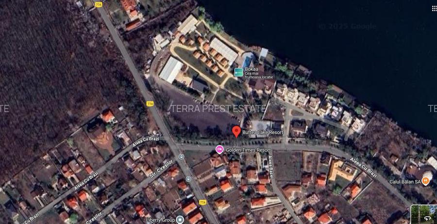 Vila deosebita cu piscina in Buftea - 6