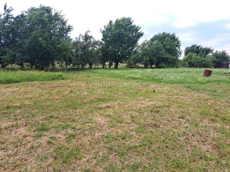 Teren intravilat| Zona rezidentila 1156 mp-TURNISOR - 3