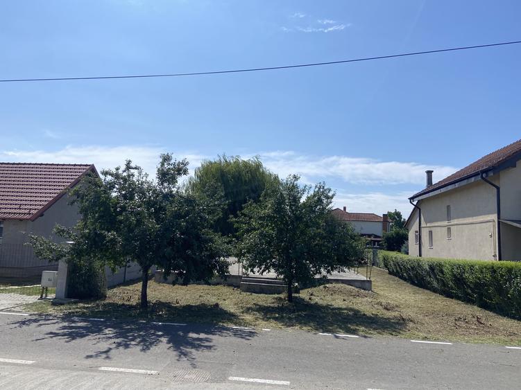 Teren intravilan 500 mp in Vetis str Ghioceilor