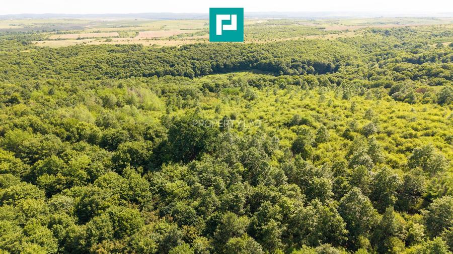 TEREN AGRICOL EXTRAVILAN  22.900 MP LIPOVA - 15
