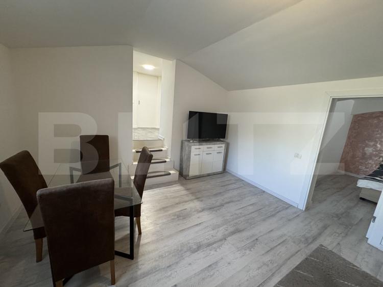 Apartament 2 camere, semidecomandat, curte 50mp Zona Casa Studentilor