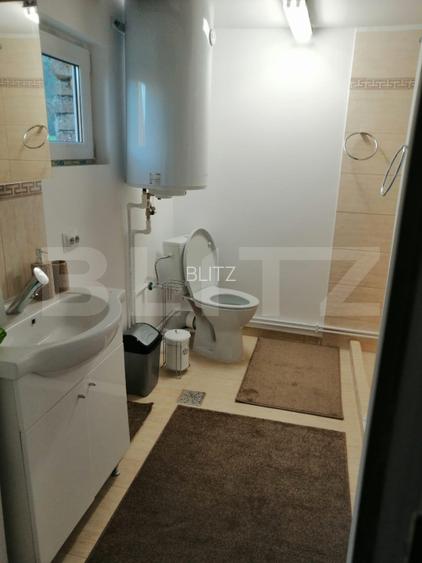 Casa de vanzare, 135 mp si 5 hectare de teren, langa Deva - 5