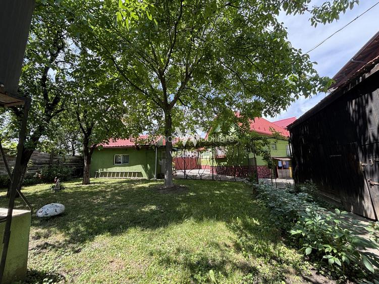 Casă individuală de vânzare în Turnișor | Curte superbă 585 mp - 17