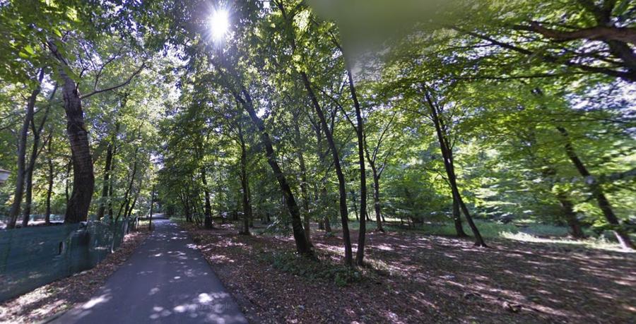 Teren cu deschidere la Padurea Snagov- Gruiu