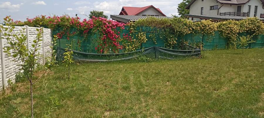 Casă individuală 4 camere, 168 mp, teren 900 mp – Balotesti-Săftica