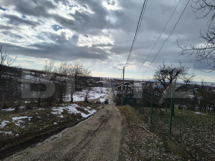 TEREN, 10000 mp, Paulesti (Gegeni) - 7